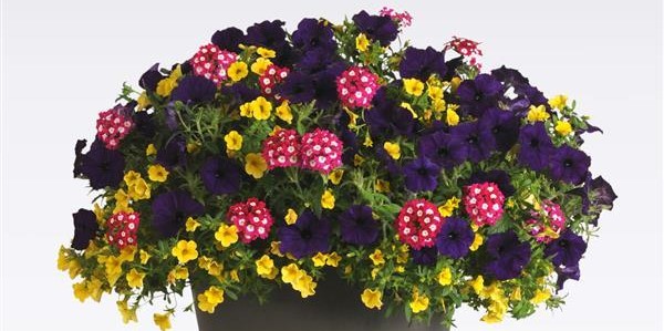 MIX MASTER COMBO - OVER THE TOP