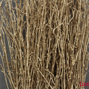 BIRCH - GOLD 18-24IN