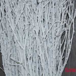 BIRCH - WHITE 36-48IN