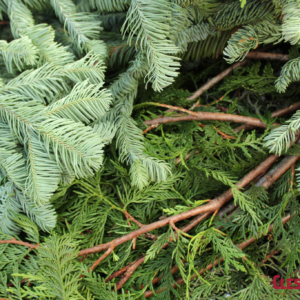 BOUGHS - ASST (4 TYPES) 30LB