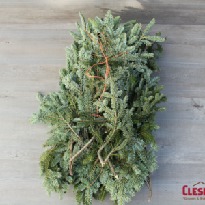 BOUGHS - FRASER FIR