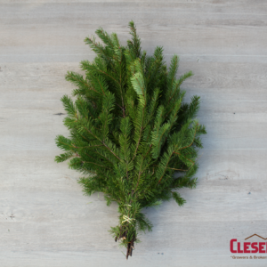 BUNCHED - DOUGLAS FIR