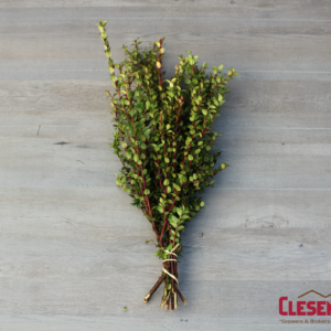 BUNCHED - RED HUCKLEBERRY