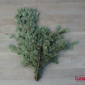 BUNCHED - SILVER FIR