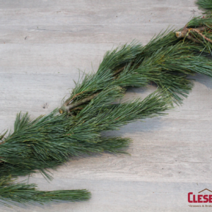 GARLAND - PRINCESS PINE 25FT