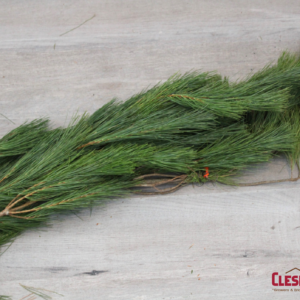 GARLAND - WHITE PINE 25FT