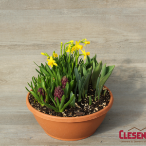 BULB GARDEN - ASSORTED 12IN