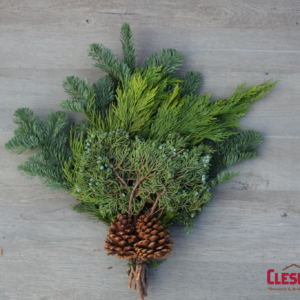 SWAG - EVERGREEN BUNCH WITH CONES